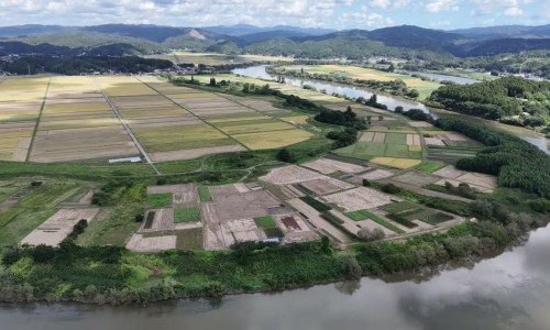 厄贝沙旦对人体伤害轻重-【厄贝沙旦分国产和进口吗】厄贝沙旦片是什么药 - 厄贝沙旦片零售价格网